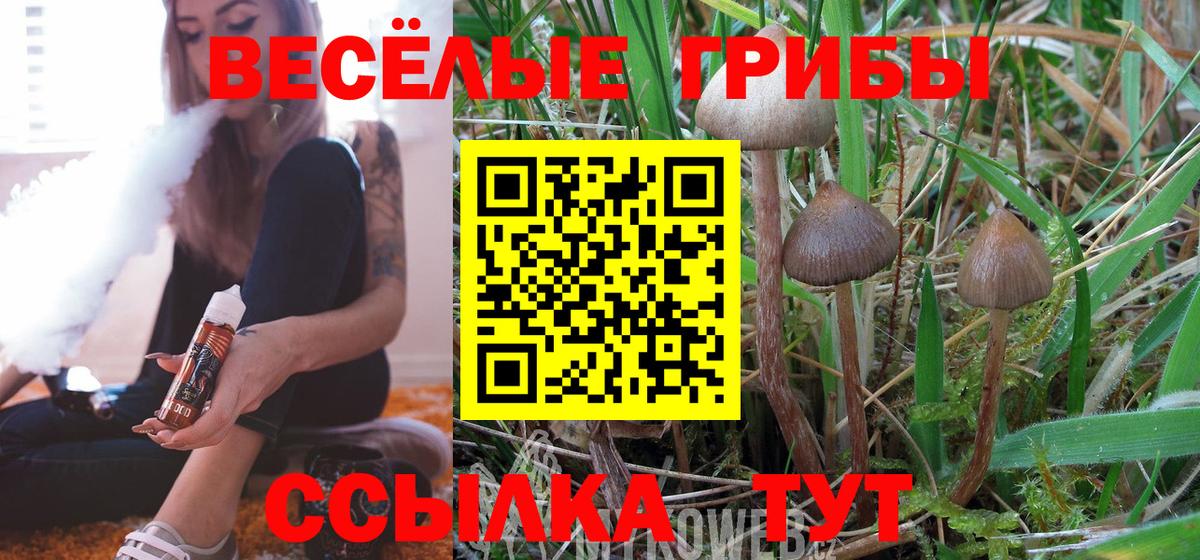 Киржач  Псилоцибиновые грибы мухоморы  Вход с VPN  Галлюциногенные грибы MAGIC MUSHROOMS 