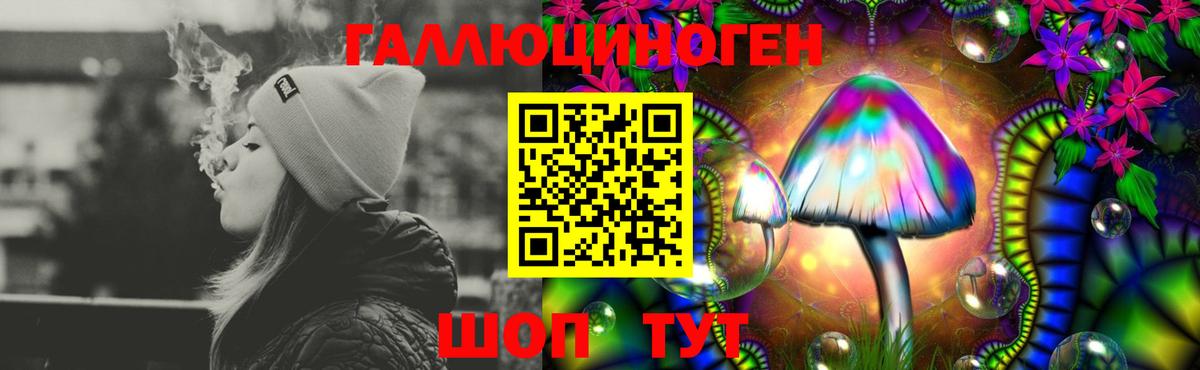 Галлюциногенные грибы MAGIC MUSHROOMS  Киржач  Галлюциногенные грибы Psilocybine cubensis 